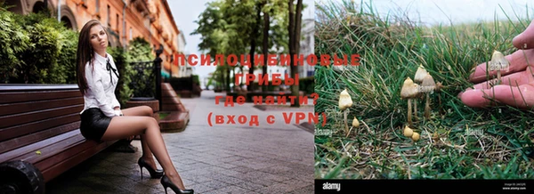 крисы Нефтегорск