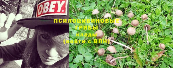 соль курить ск Нефтекумск