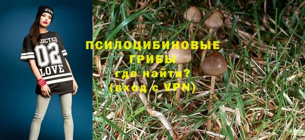 крисы Нефтегорск